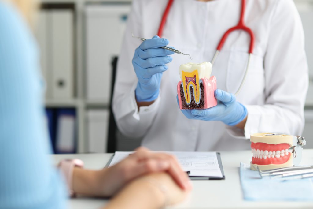 Dentist Shows Caries On Artificial Tooth And Methods Of Treatment To Patient